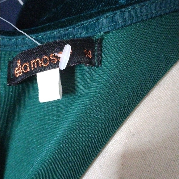 Ella moss velour dress - Picture 3 of 3